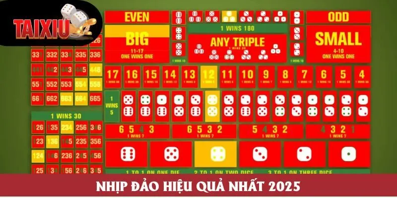 Nhịp đảo hiệu quả nhất 2025 Nhịp đảo hiệu quả nhất 2025