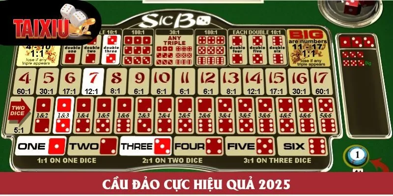 Cầu đảo cực hiệu quả 2025